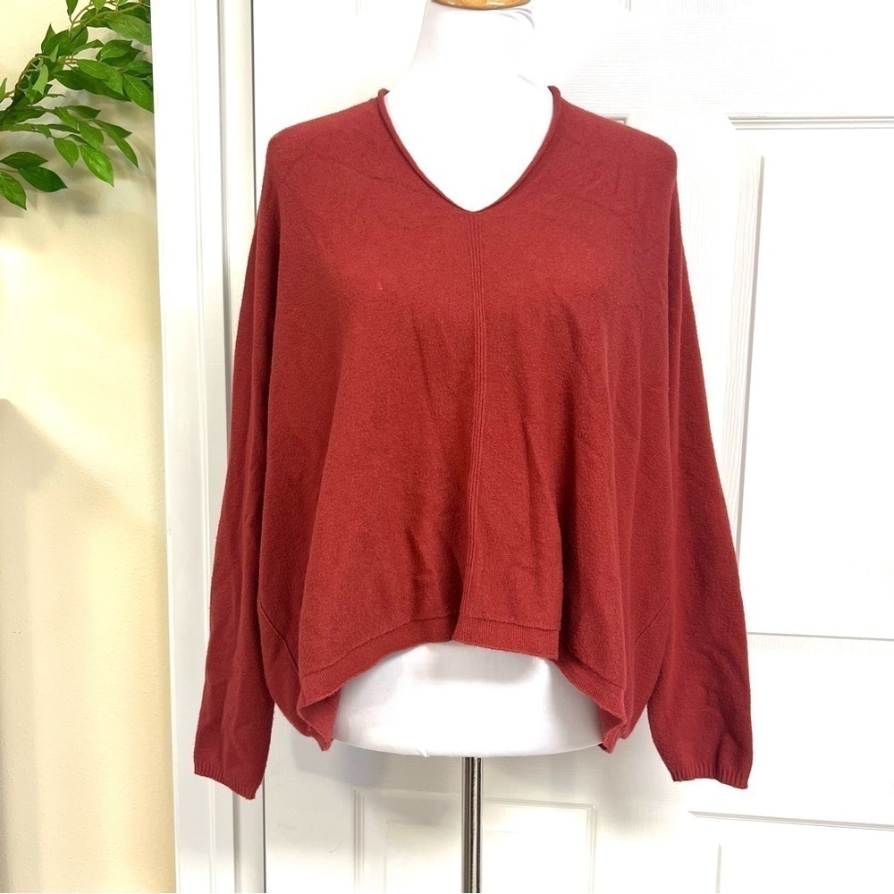 BRAND BAZAR Basic Lux oversized Lagenlook slouchy v-neck sweater in Wine size 1X